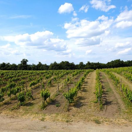 Agriturismo Vigna Sul Lago Montefiascone Eksteriør billede