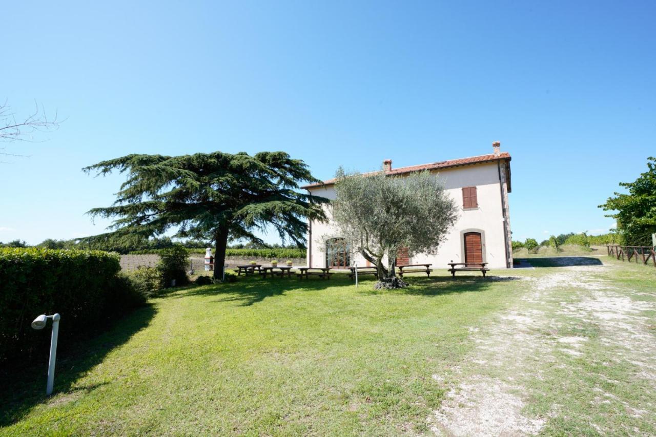 Agriturismo Vigna Sul Lago Montefiascone Eksteriør billede