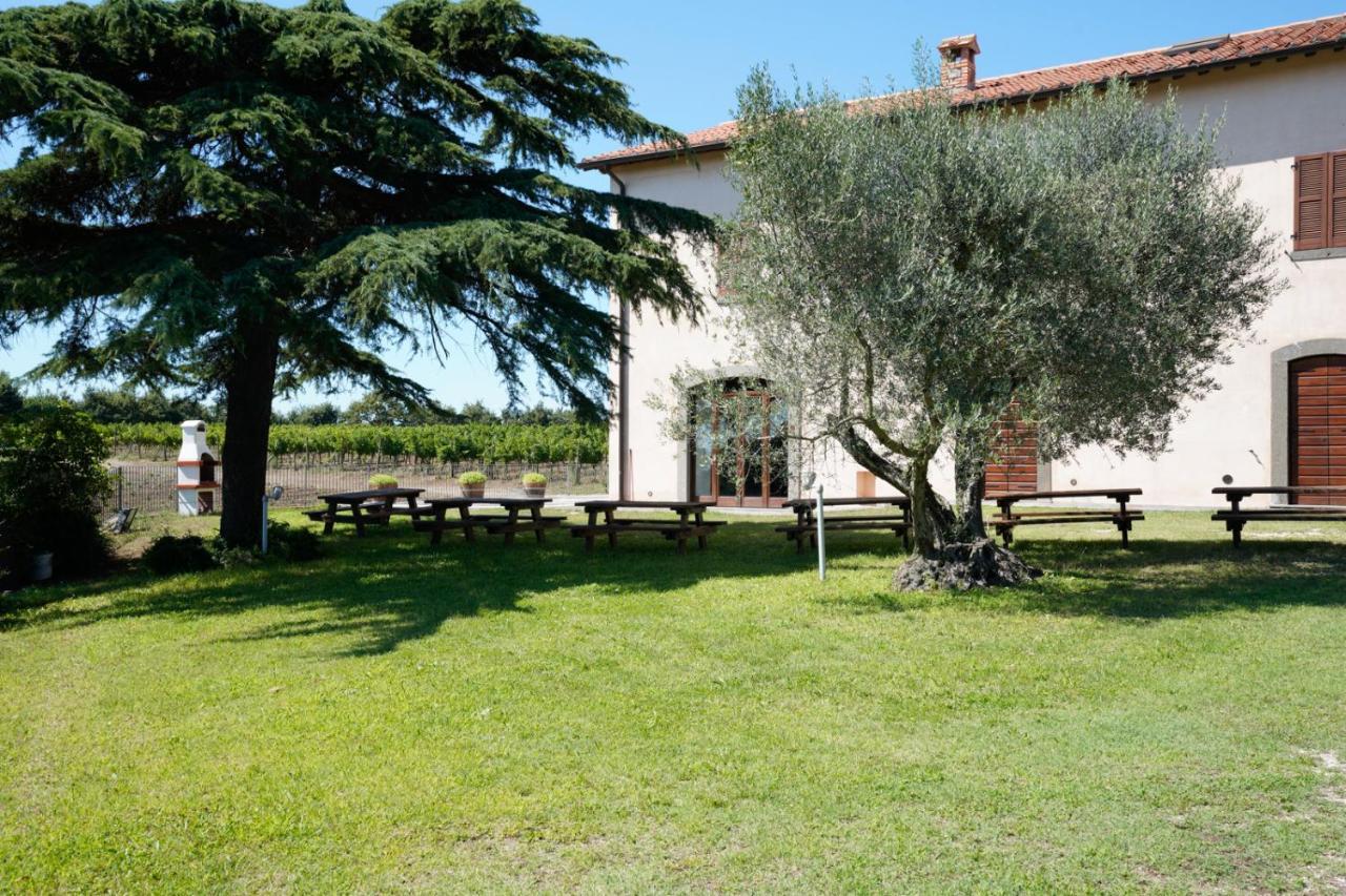 Agriturismo Vigna Sul Lago Montefiascone Eksteriør billede
