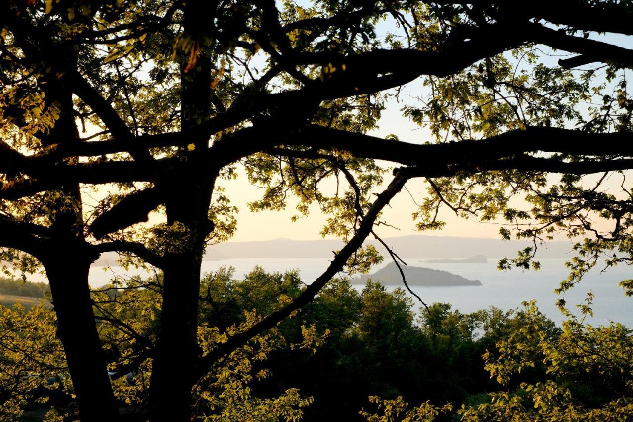 Agriturismo Vigna Sul Lago Montefiascone Eksteriør billede